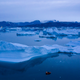Icebergs off the coast of eastern Greenland near Kulusuk, in a region that has seen significant melt under climate change.
